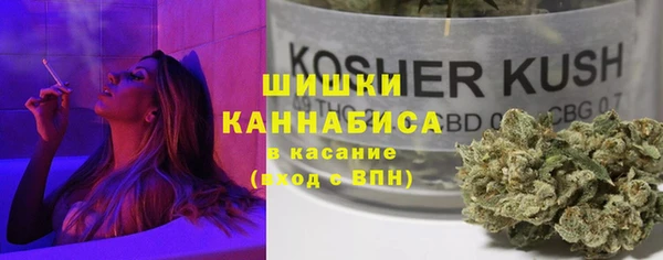 прущие крисы Новозыбков