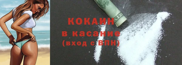 прущие грибы Ладушкин