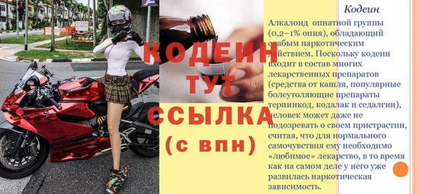 PSILOCYBIN Кулебаки