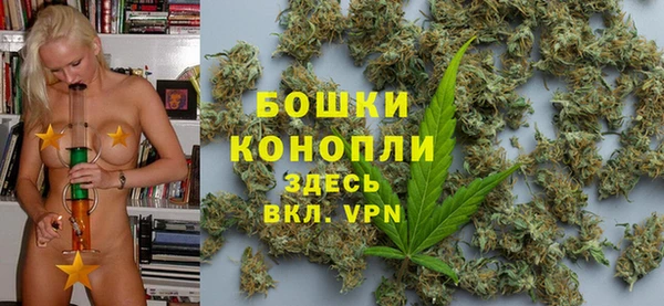 PSILOCYBIN Кулебаки