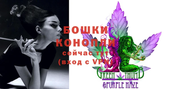 прущие грибы Ладушкин