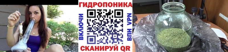 Каннабис MAZAR  продажа наркотиков  Сортавала 